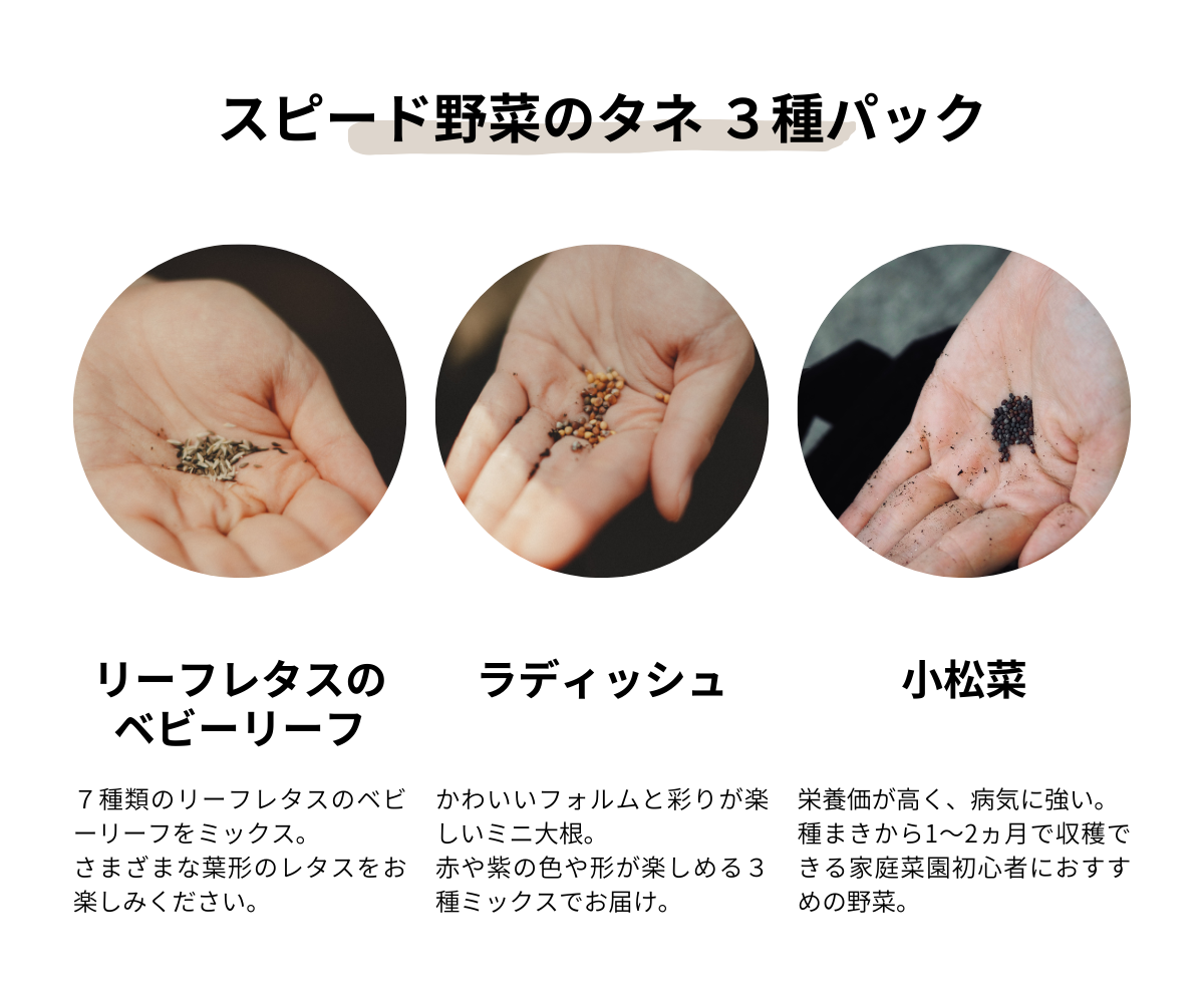 スピード野菜の種3種パック｜UETE（ウエテ）公式通販｜初心者向け家庭