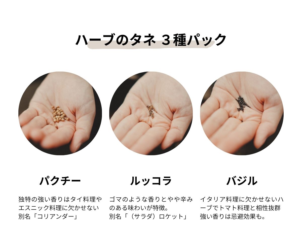 ハーブの種3種パック｜UETE（ウエテ）公式通販｜初心者向け家庭菜園 