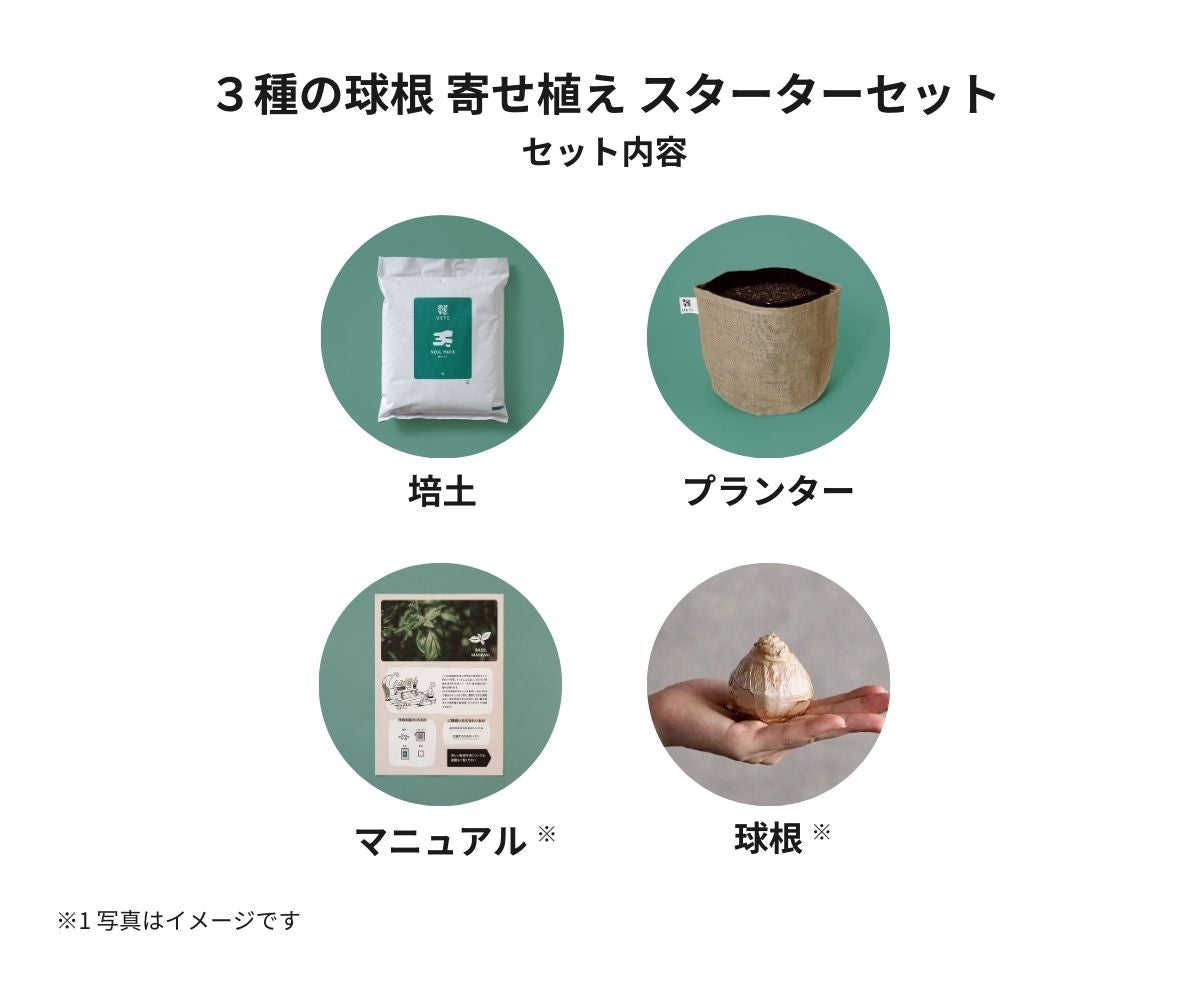 3種の球根 寄せ植え スターターセット｜UETE（ウエテ）公式通販