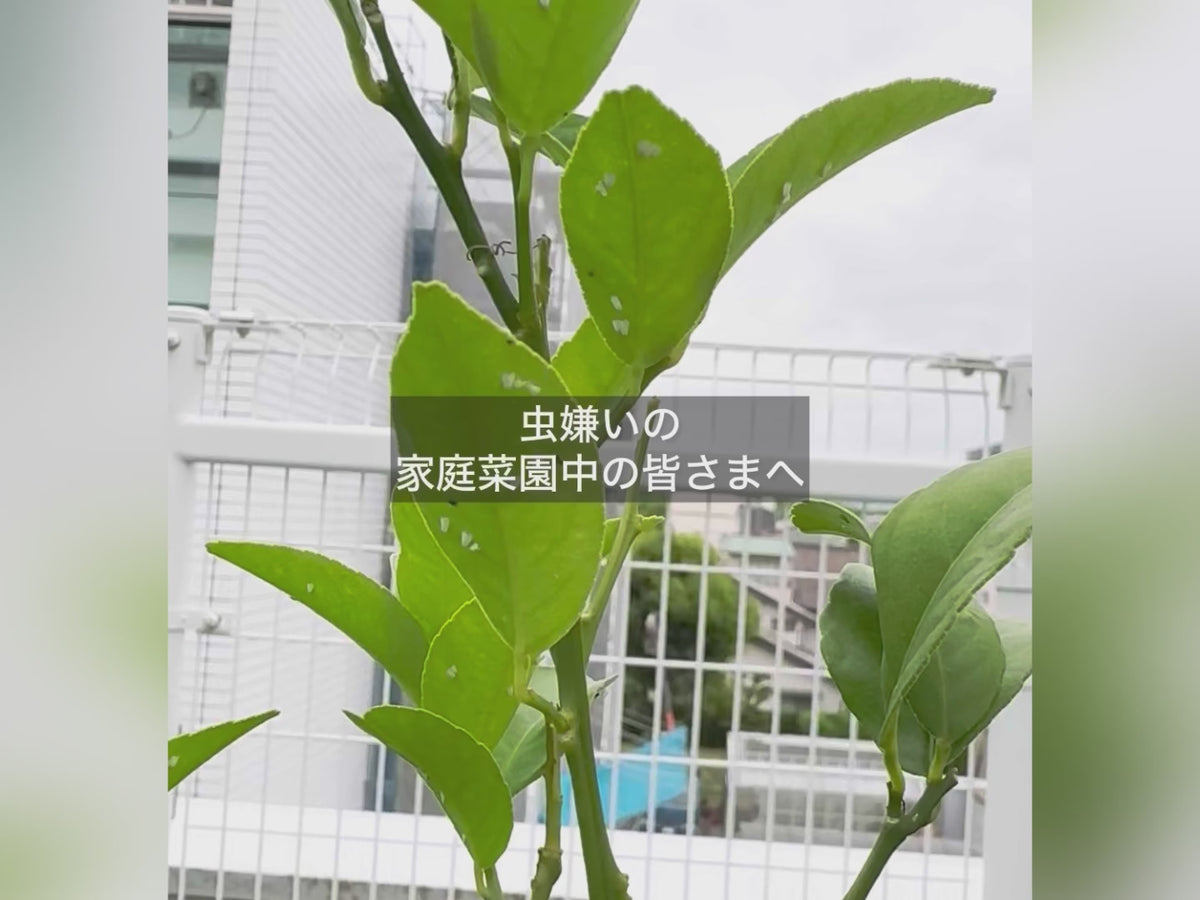 ベニカナチュラルスプレー 1000ml｜UETE（ウエテ）公式通販｜初心者