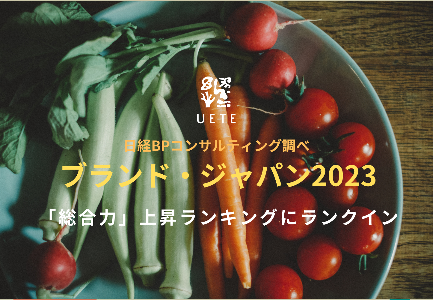 『ブランド・ジャパン2023』で「総合力」上昇ランキングにランクイン
