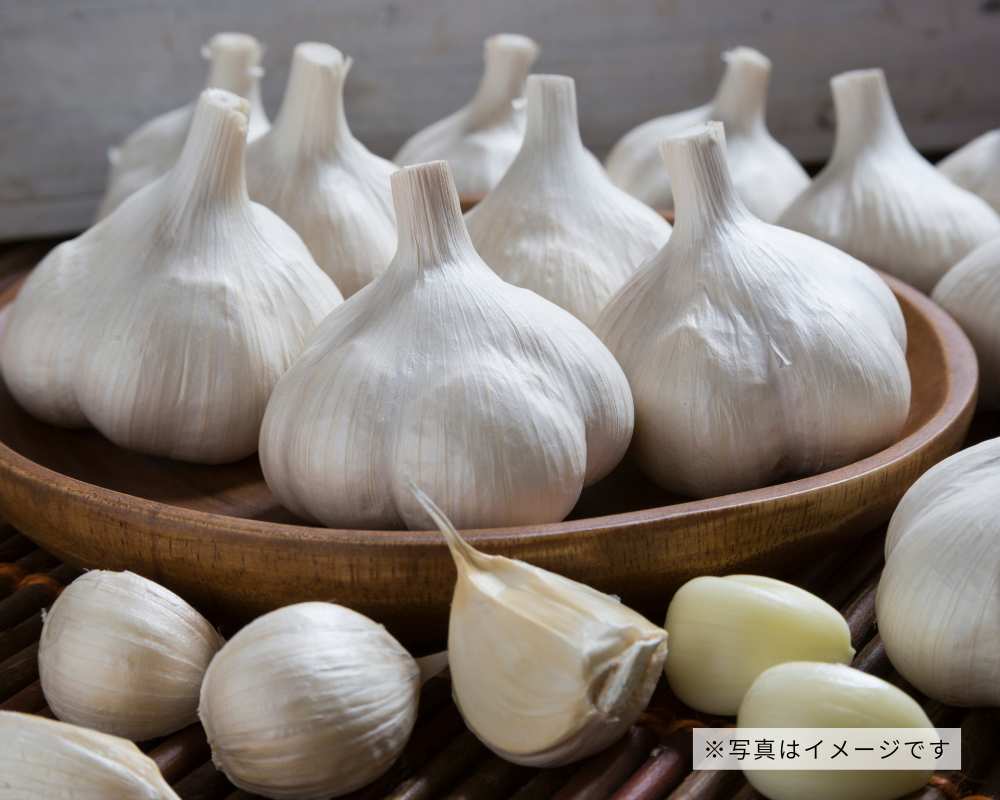 R...jgdにんにく栽培終了 Rjgdにんにく栽培終了 ニンニク 収穫編 2025春】今年は100