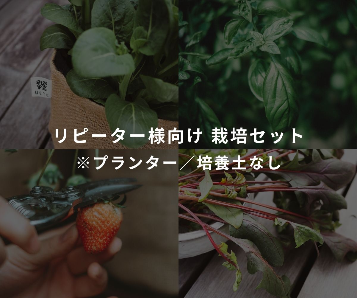 土壌改良剤付き】リピート栽培セット｜UETE（ウエテ）公式通販｜初心者