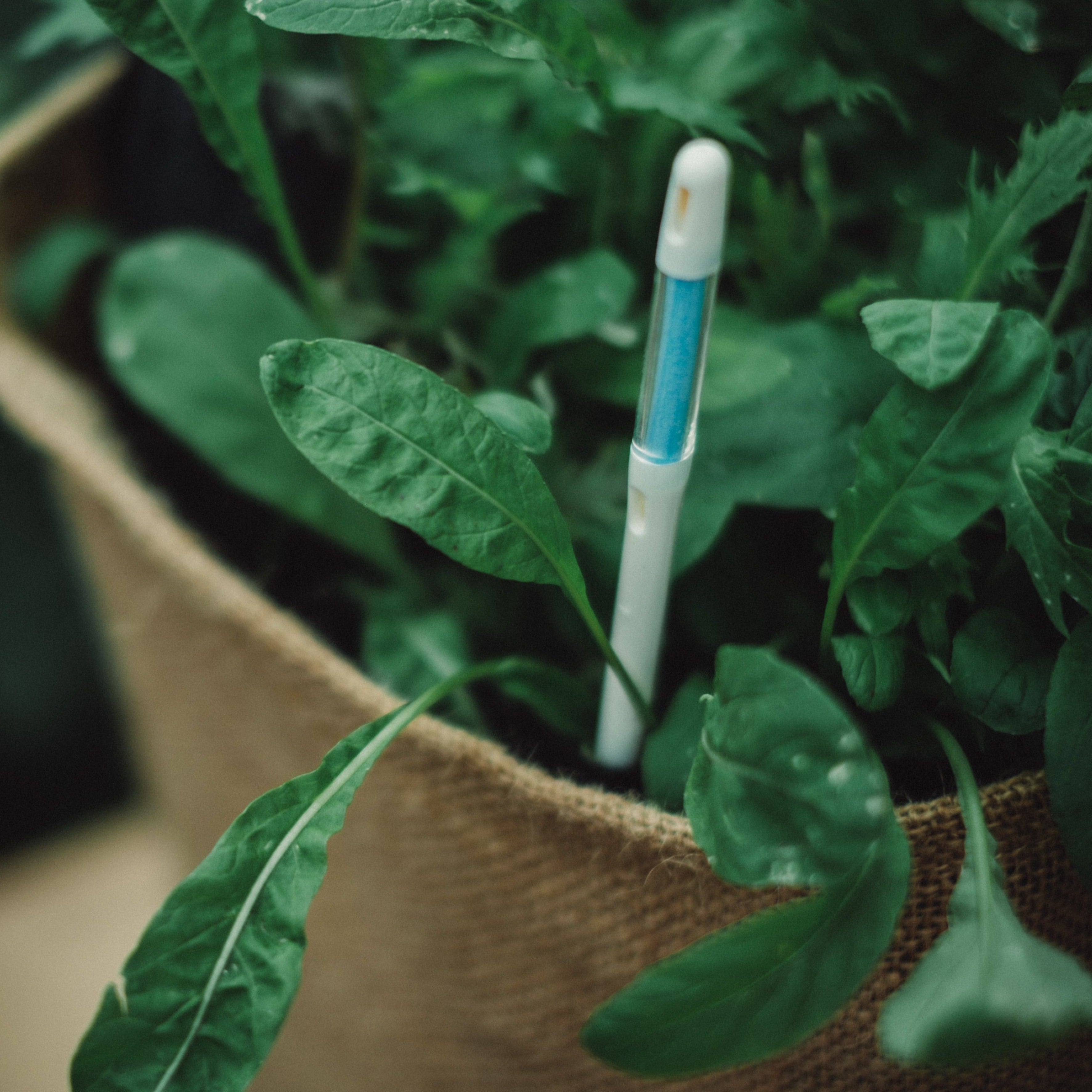 suyuページ ピュアクリスタル 超ニャン水ボウル ホワイト | ジェックス株式会社